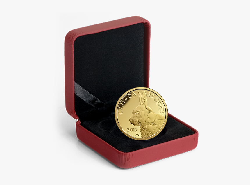 *inuit Arctic Hare - 2009 Dieppe Raid Toonie, HD Png Download