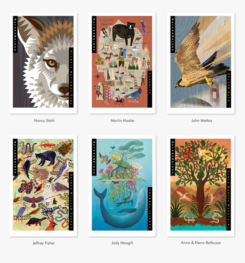 Naturebridge Limited Edition Framed Prints - Eagle, HD Png Download