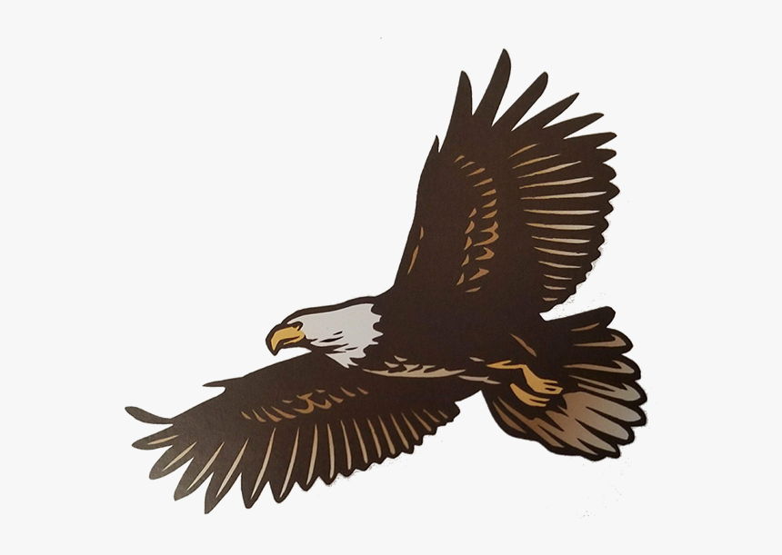 Golden Eagle, HD Png Download
