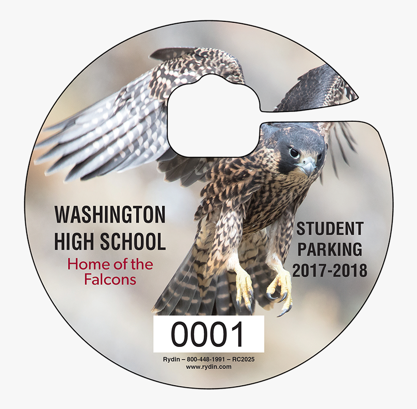 Sharp Shinned Hawk, HD Png Download