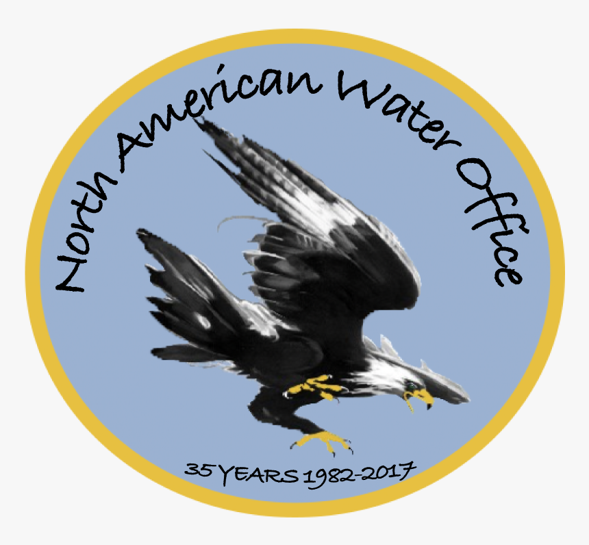 Nawologocolor V2 - 0 - Golden Eagle, HD Png Download