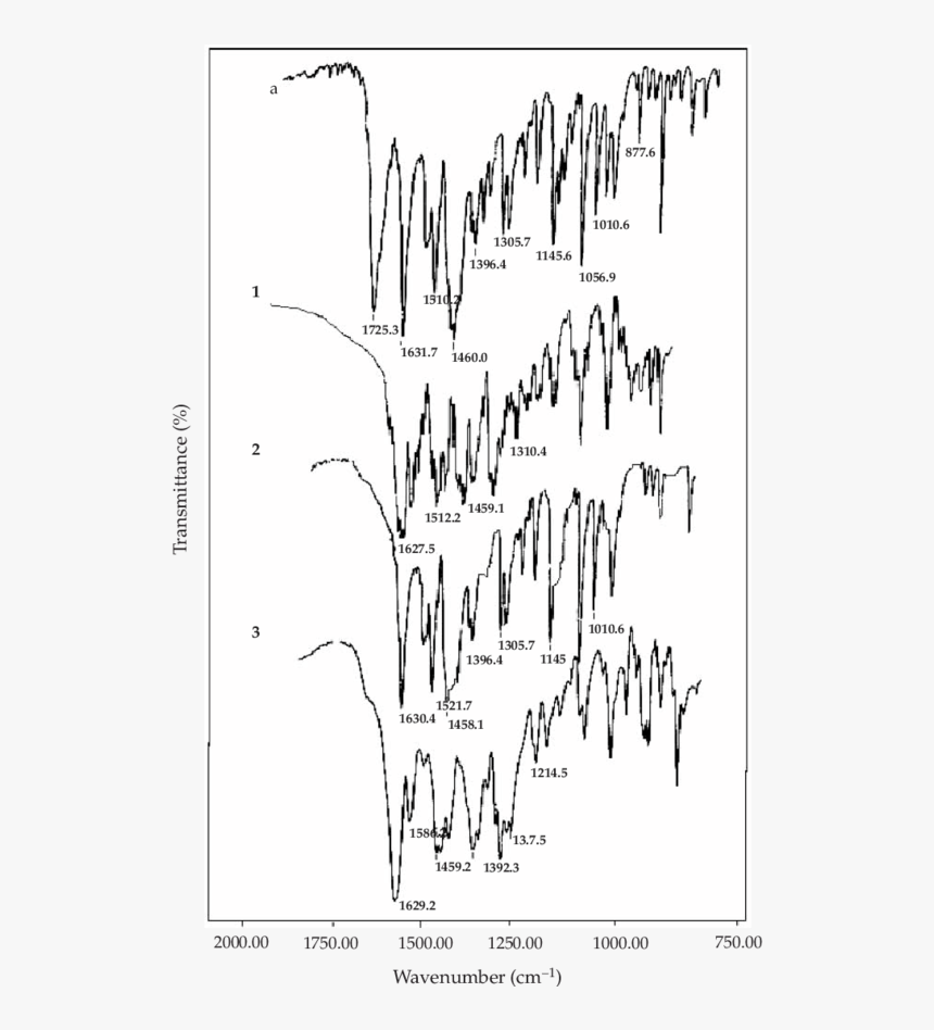 Drawing, HD Png Download