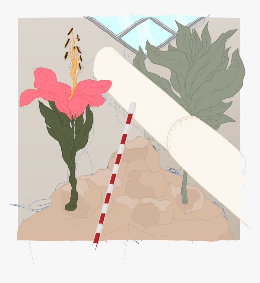 Sorta Work In Progress But I’ll Probably Leave It At - Illustration, HD Png Download