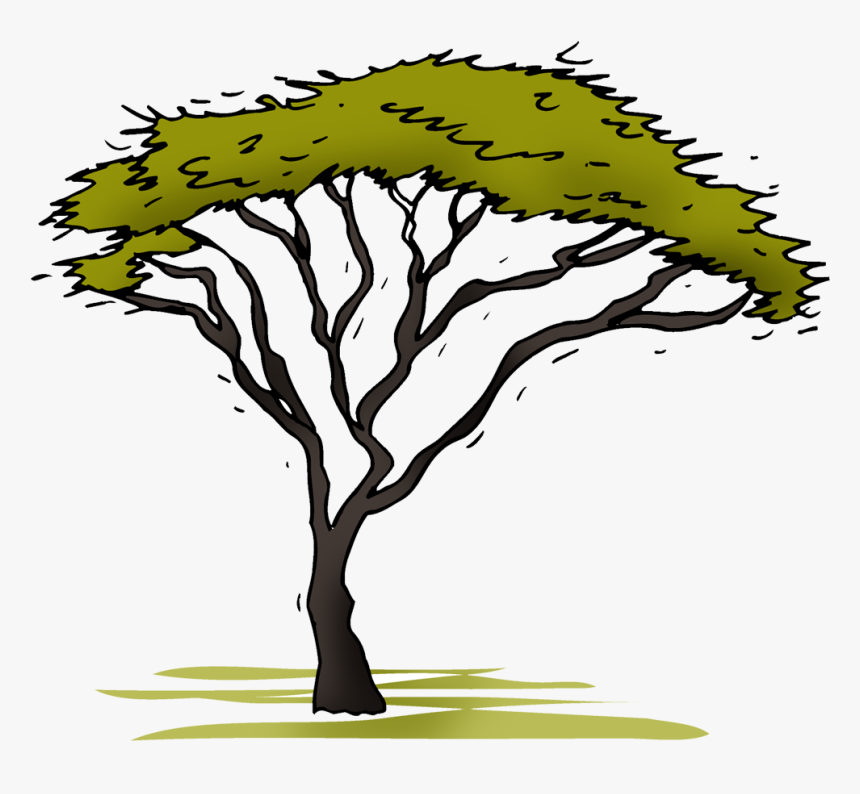 Illustration , Png Download - Illustration, Transparent Png