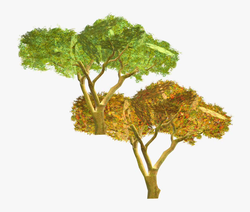 Download Zip Archive - Swamp Maple, HD Png Download