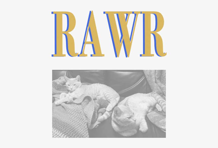 Poster, HD Png Download