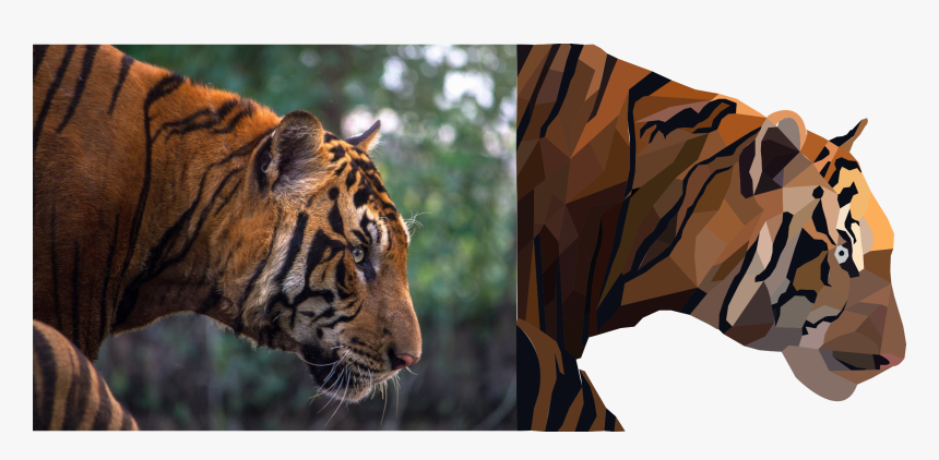 Image - Agitated Tiger, HD Png Download