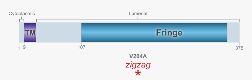 Screenshot, HD Png Download