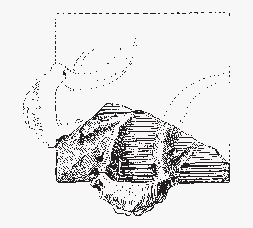 Sketch, HD Png Download