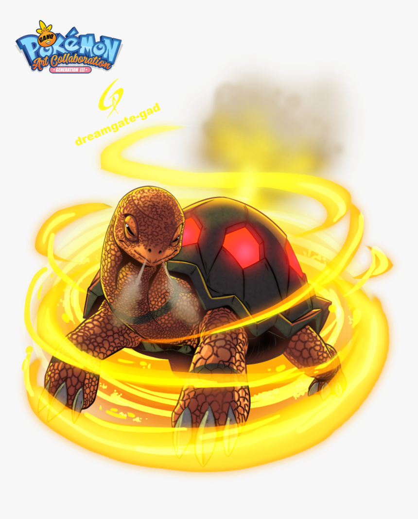 Tortoise, HD Png Download