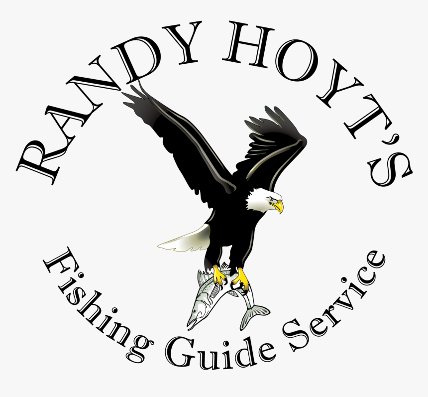 Eagle With Fish Drawing, HD Png Download