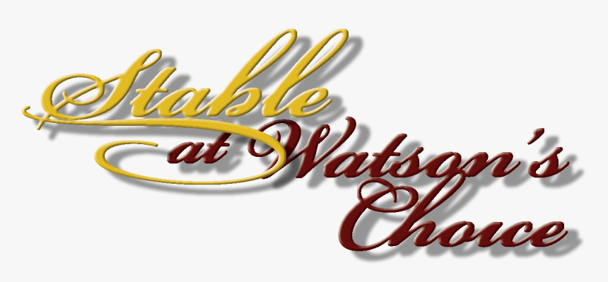 Text Image Of Stable At Watsons Choice - Calligraphy, HD Png Download