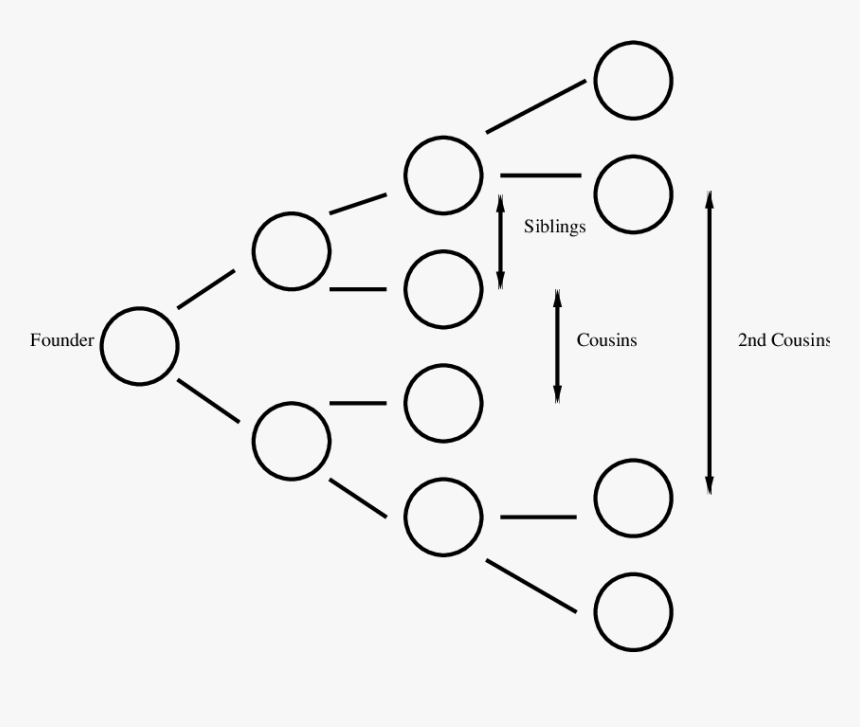 Family Tree To Second Cousin, HD Png Download