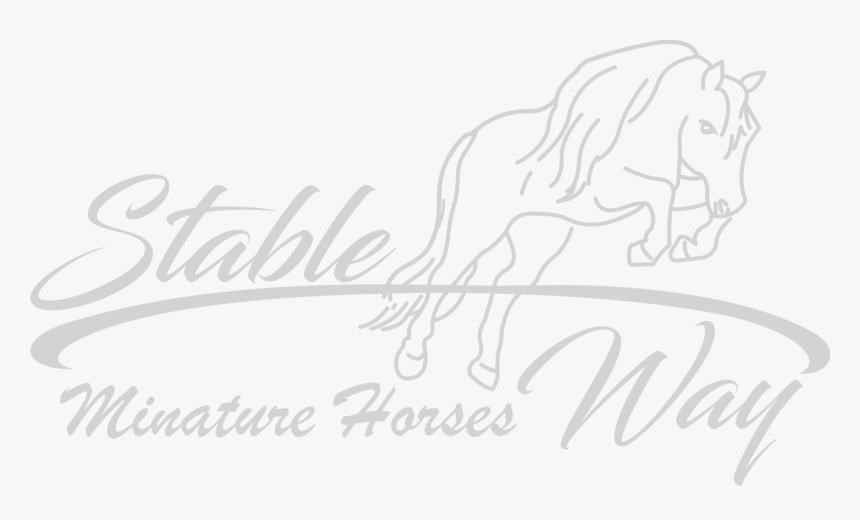 Stable Way - Holiday Island, HD Png Download