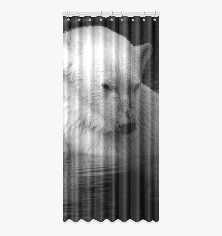 Polar Baer Window Curtain - Picture Frame, HD Png Download