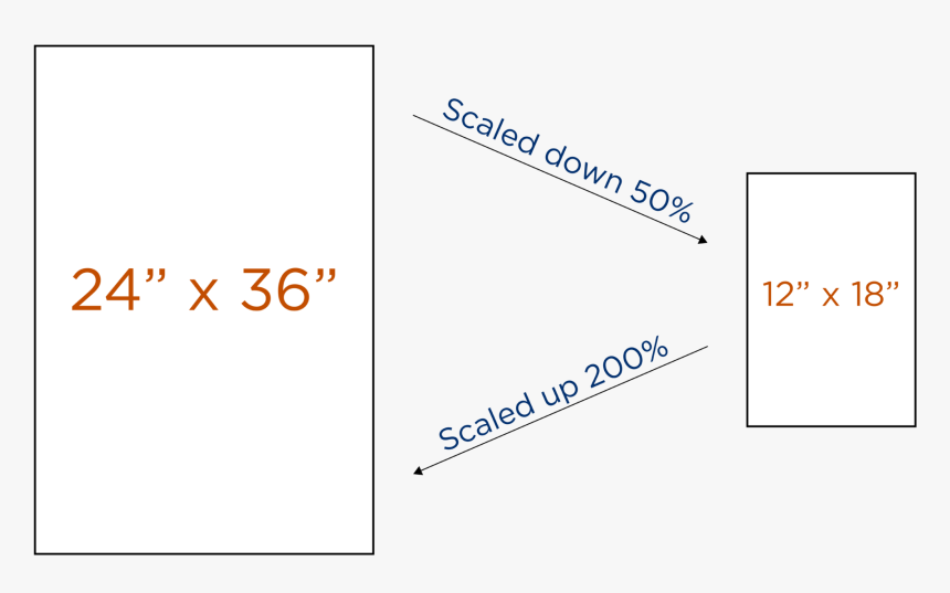 Proportion Example - Graphic Design, HD Png Download