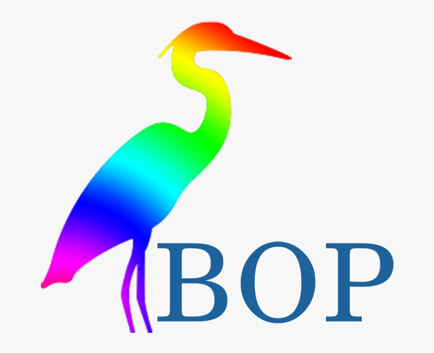 Seabird, HD Png Download