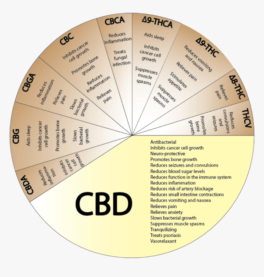 Benefits Of Smoking Cbd, HD Png Download
