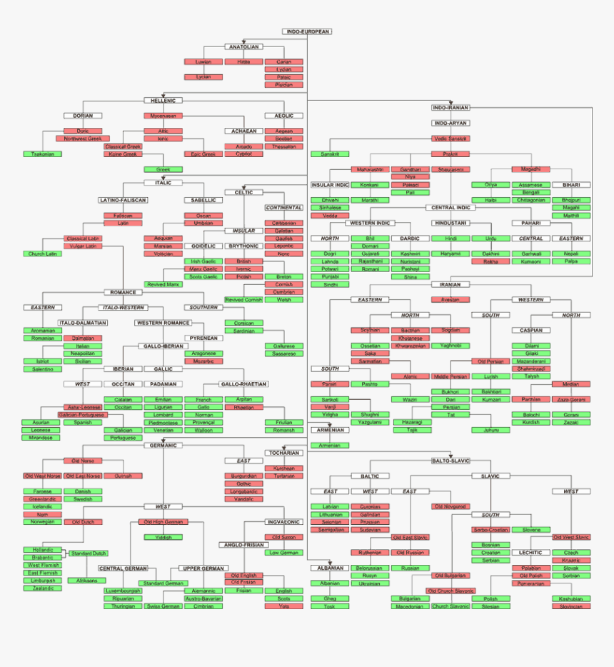 Indo European Language Family, HD Png Download