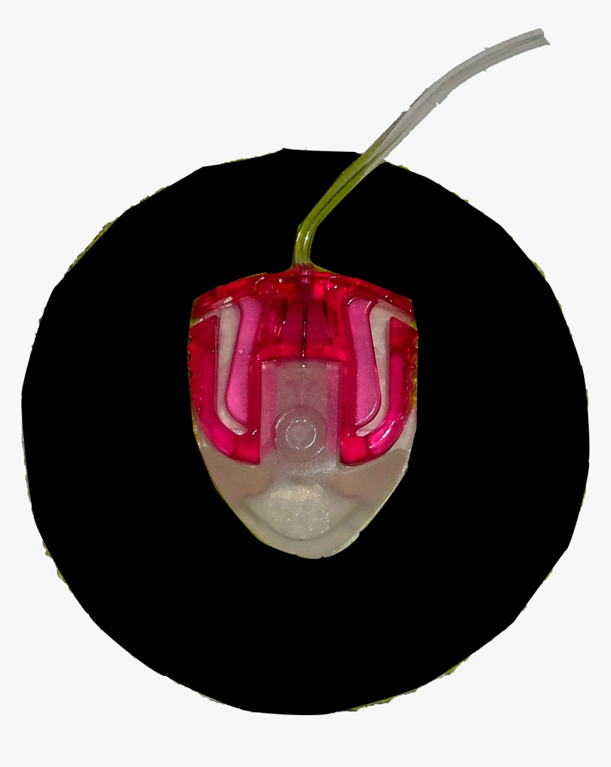 Circle, HD Png Download