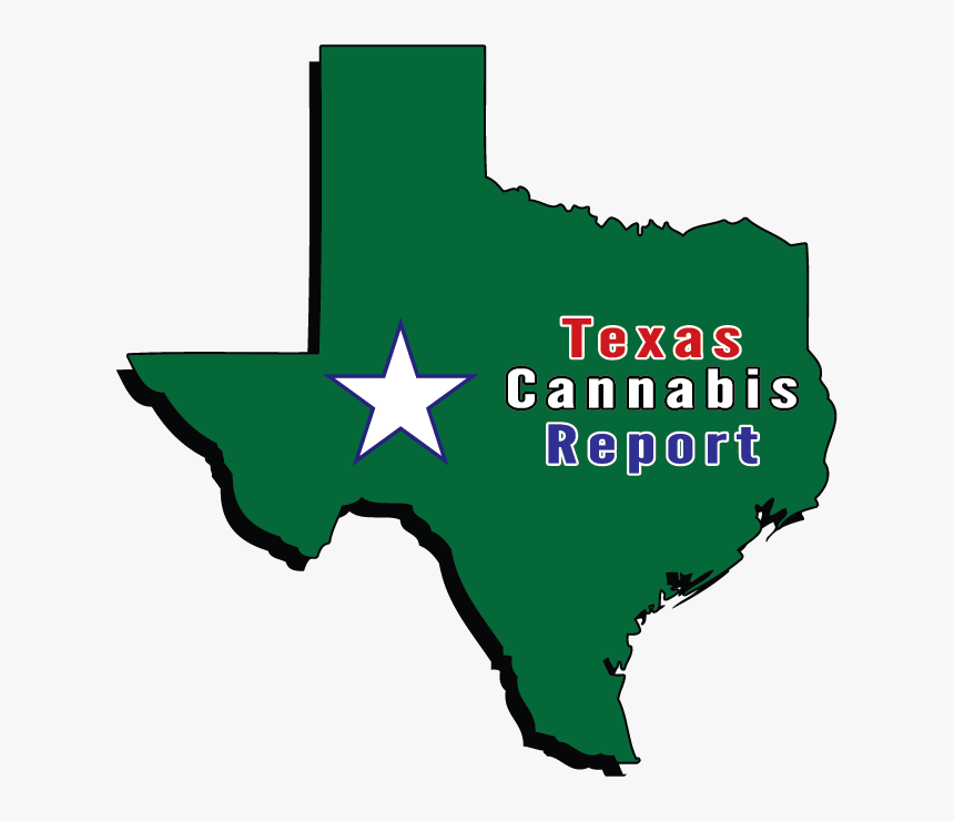 First Texas Cannabis Dispensary To Open In December - Baylor Logo Sic Em Bears, HD Png Download