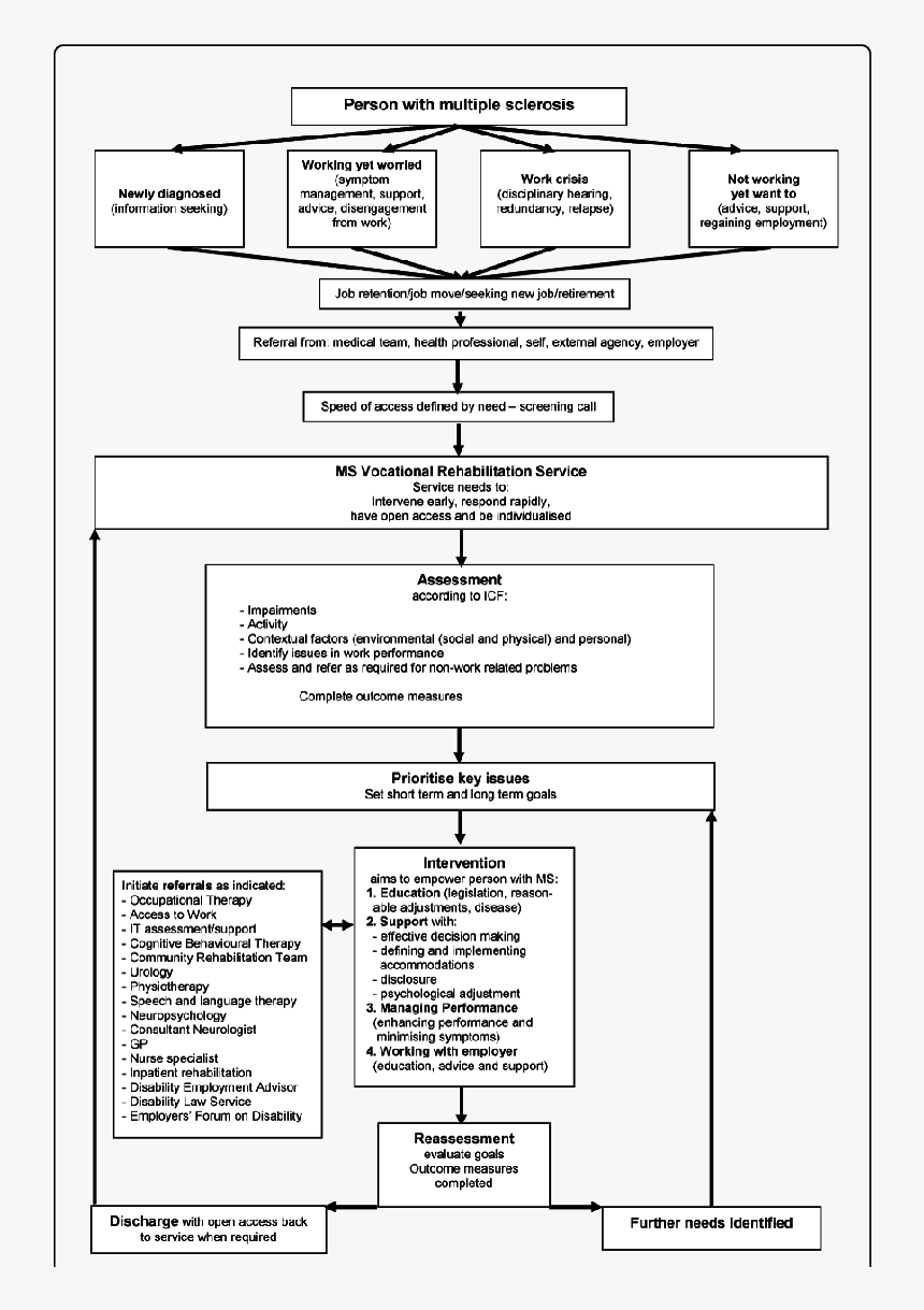 Icf Model Multiple Sclerosis, HD Png Download