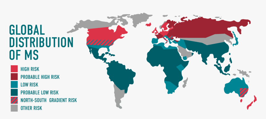 Worldwide Multiple Sclerosis Statistics, HD Png Download