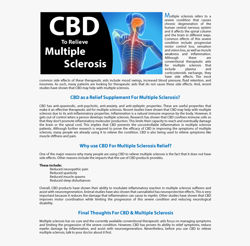 Document, HD Png Download