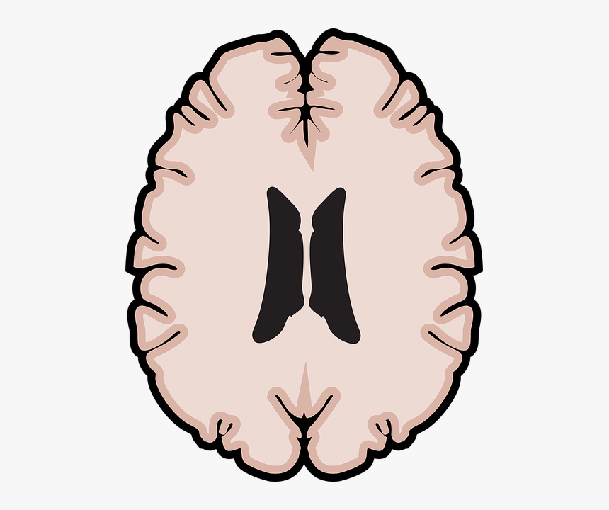 Vector Graphics, HD Png Download