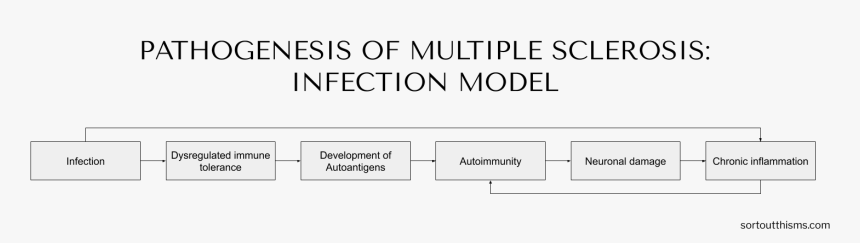 Wessel Wil Geen Luier Aan, HD Png Download