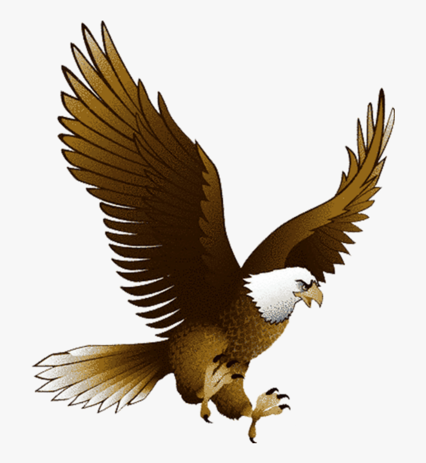 #aquila - Eagle Bird Clipart, HD Png Download
