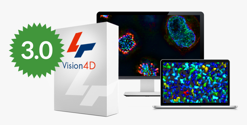 Graphic Design, HD Png Download