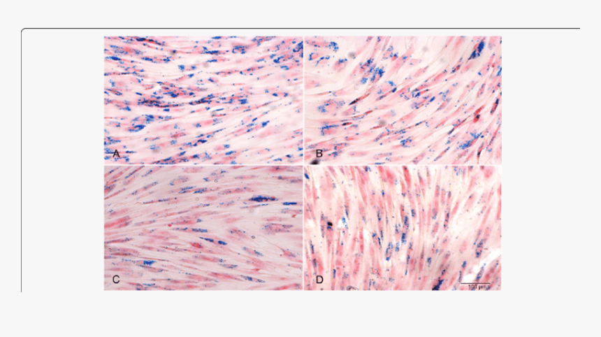 Art, HD Png Download