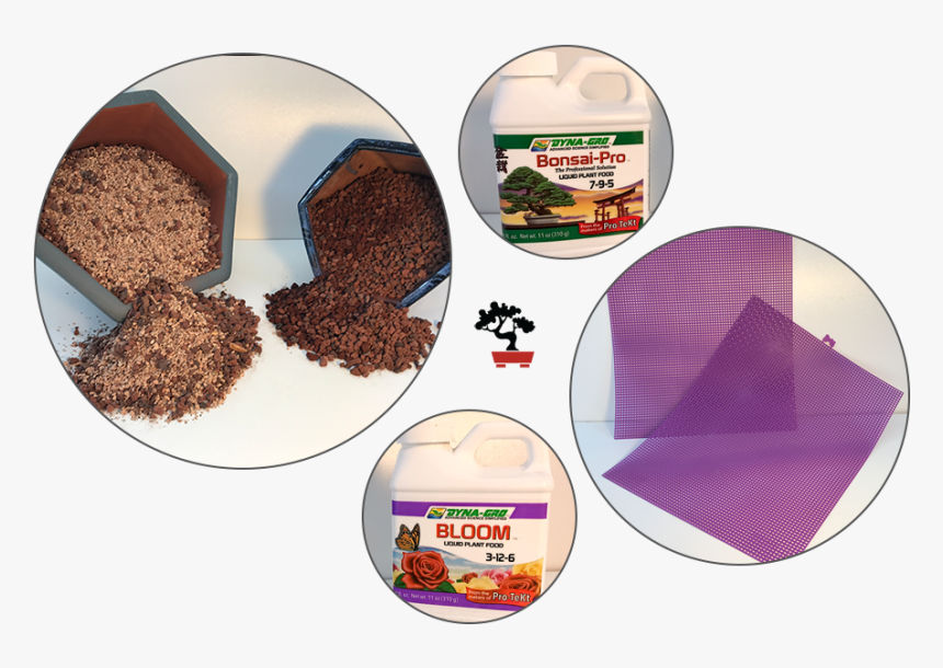 Grass, HD Png Download