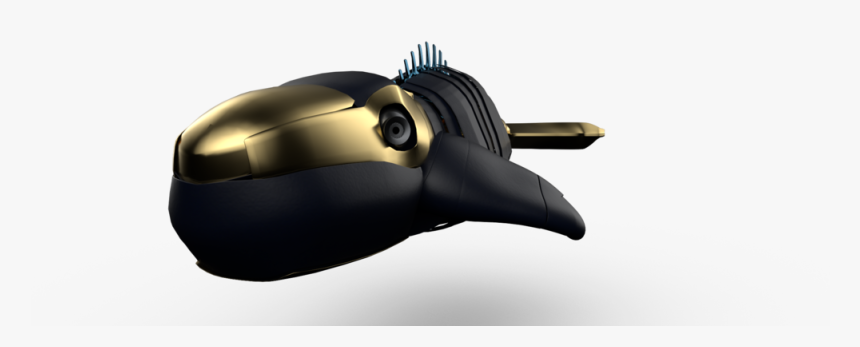 Whalefront - Insect, HD Png Download