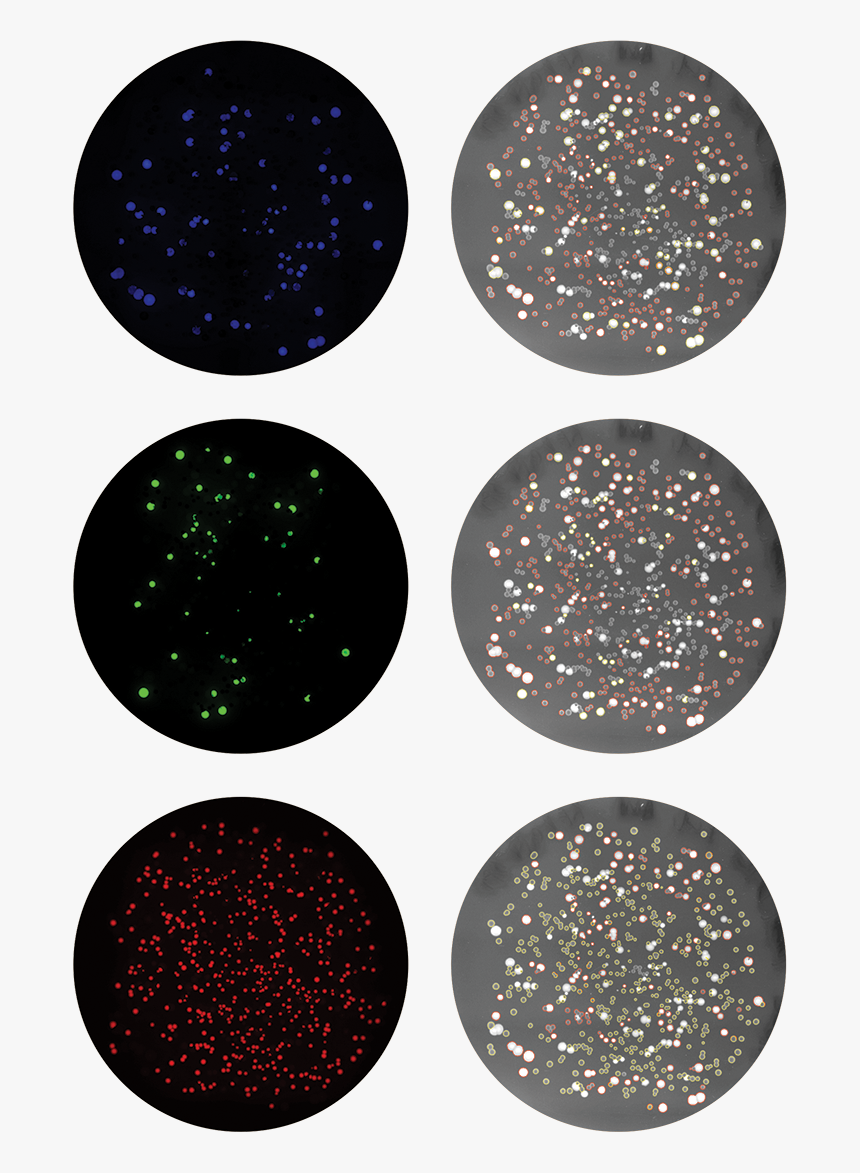 Martin Lawrence Png, Transparent Png