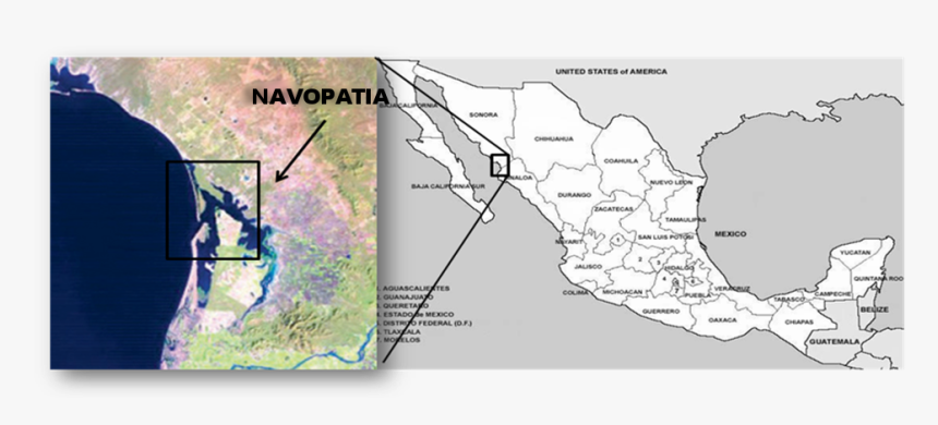 Picture1 - Atlas, HD Png Download