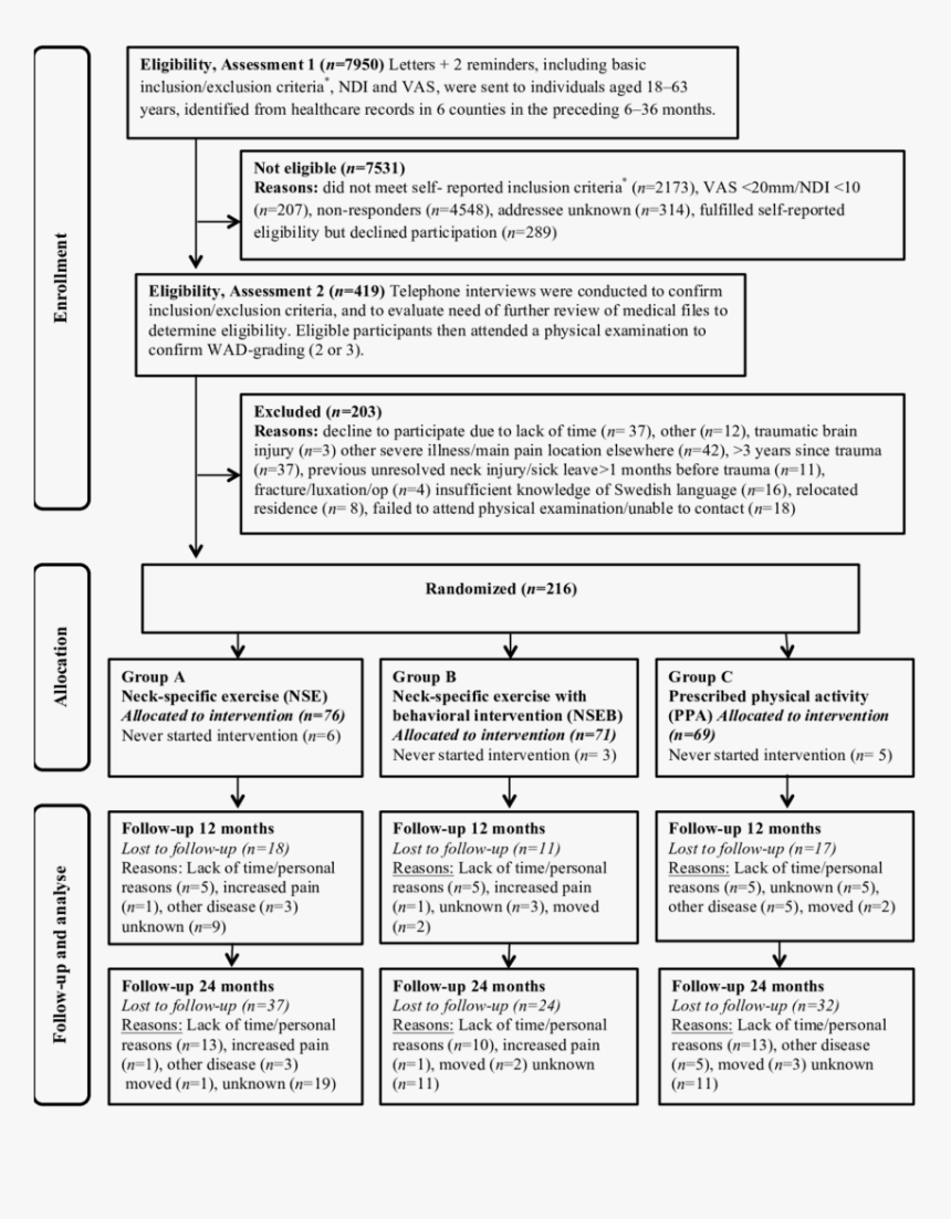 Neck Pain Follow Up, HD Png Download