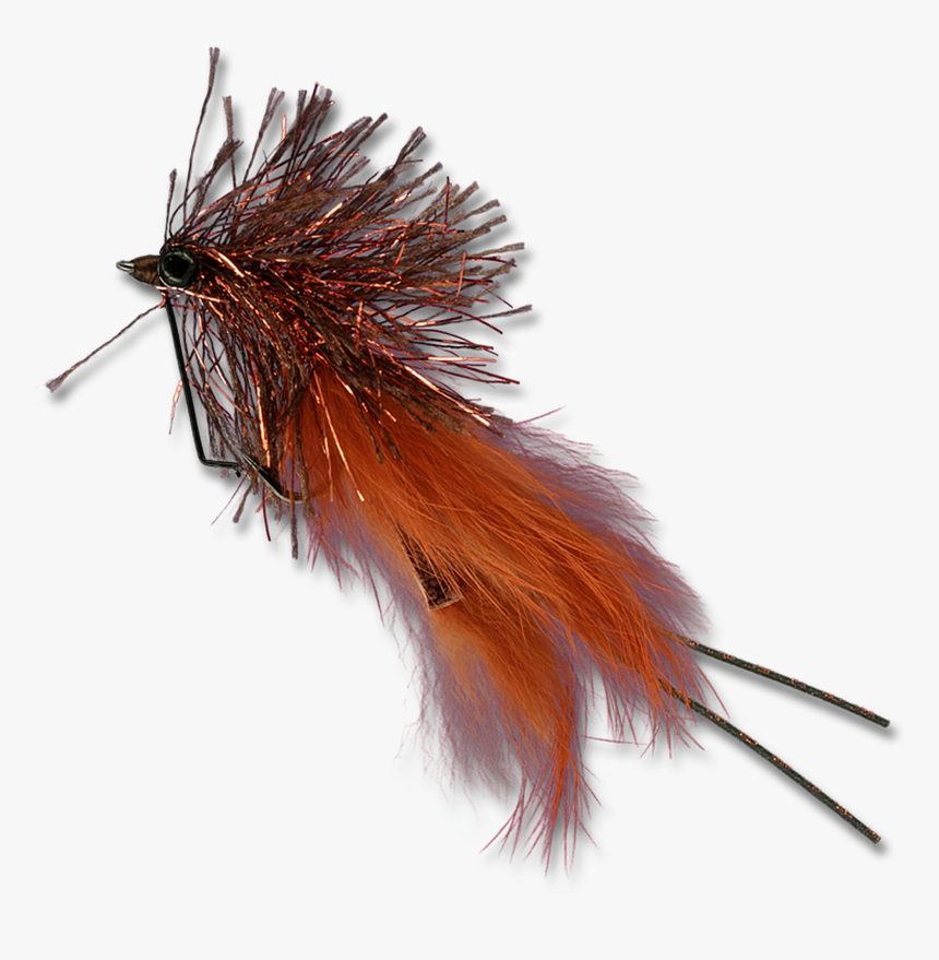 Whiplash Cray - - Earrings, HD Png Download