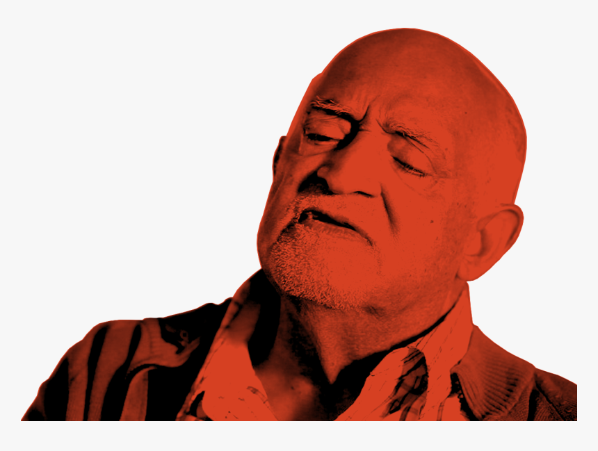 Disaster Girl Png - Man, Transparent Png