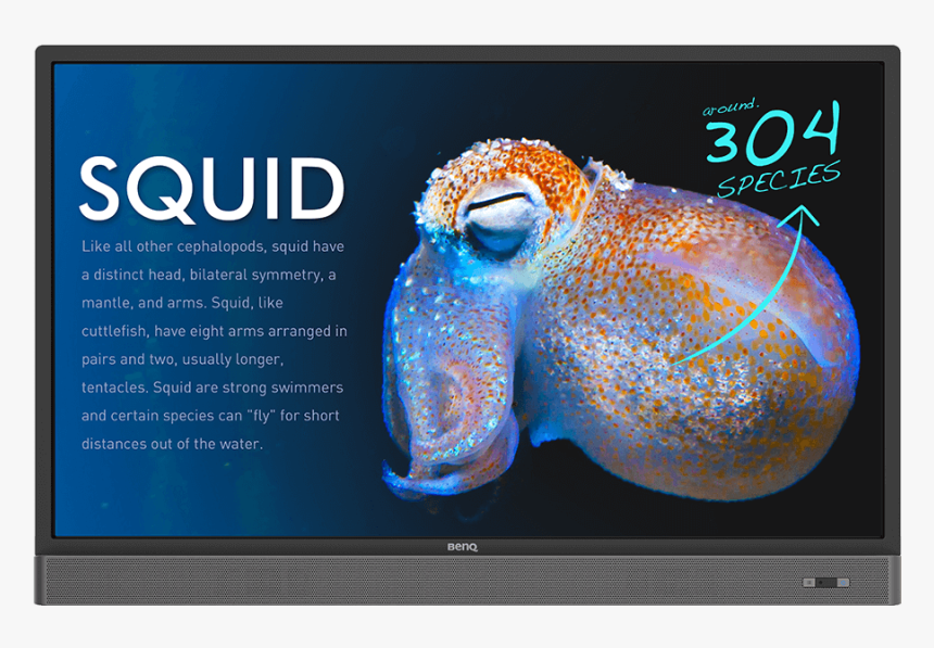 Benq Rm5501k, HD Png Download