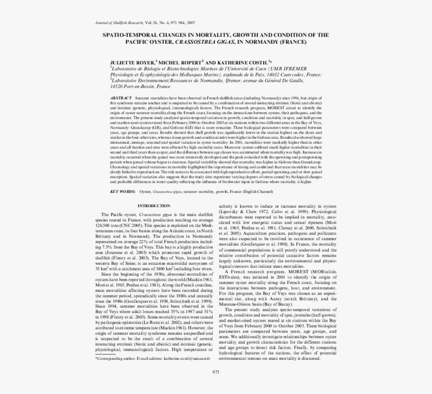 Folio Sixteen From Burchard Of Sion's De Locis Ac Mirabilibus, HD Png Download