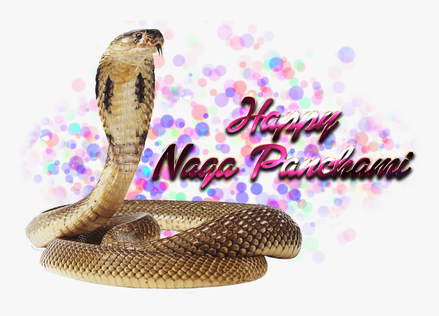 Naga Panchami Transparent Free Png - Selena Name, Png Download