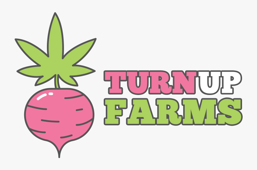 Strawberry, HD Png Download