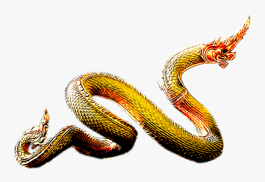 พญานาค ตระกูล สี ทอง, HD Png Download