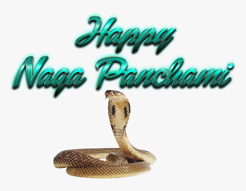Naga Panchami Transparent Png - Png Nagula Chavithi Items, Png Download
