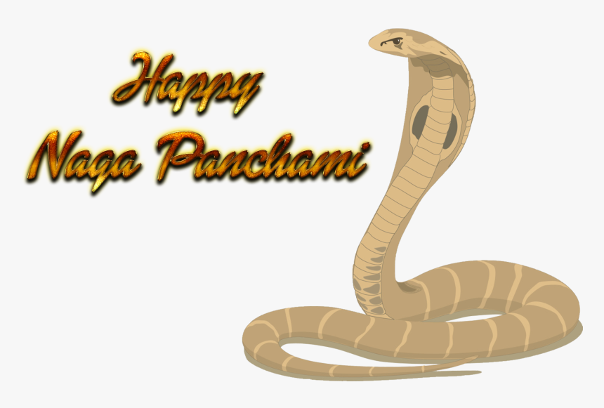 Naga Panchami Free Transparent Images - King Cobra Clip Art, HD Png Download