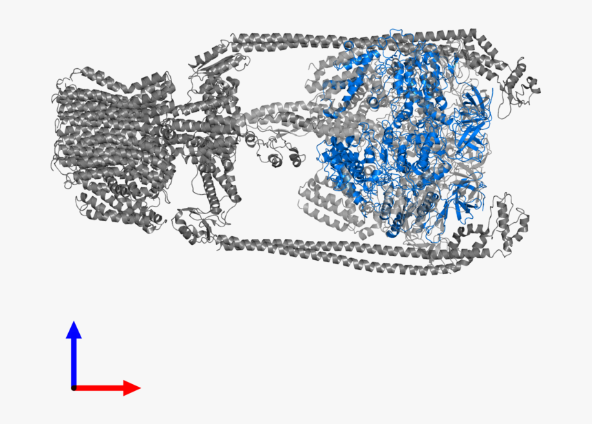 Chain, HD Png Download