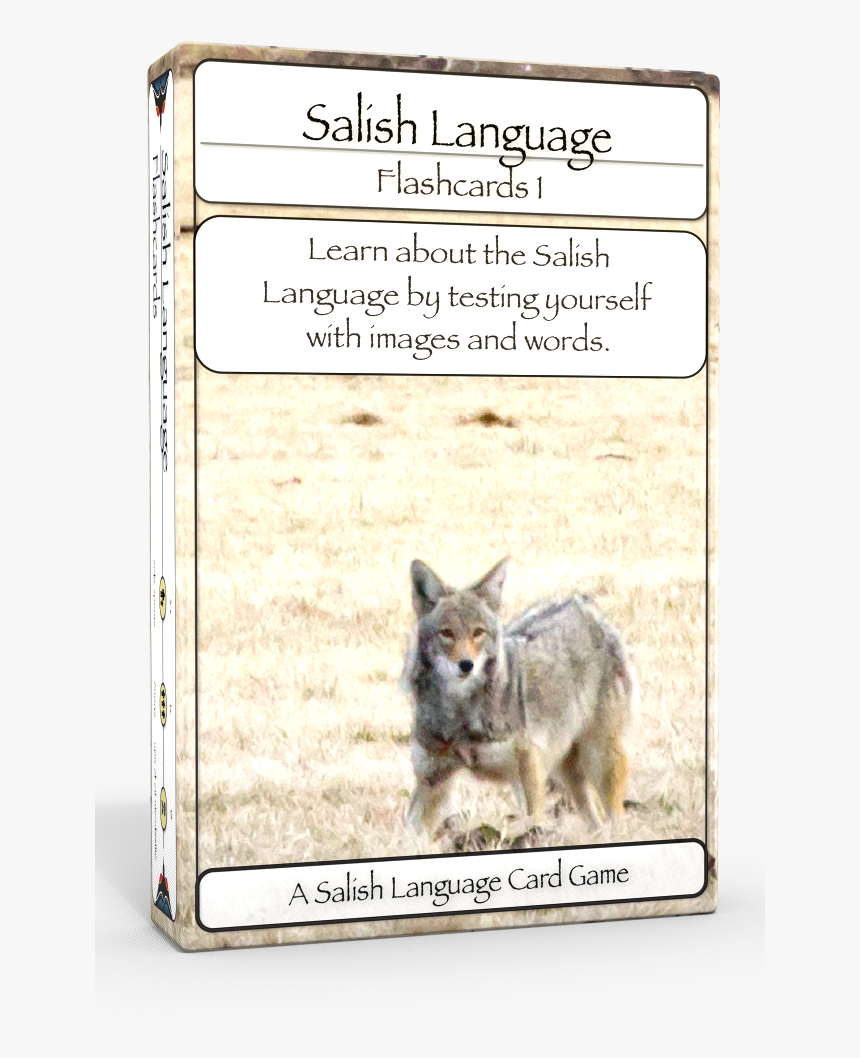 Salish Flashcards 1 3d Edu Boxshot Left - Coyote, HD Png Download
