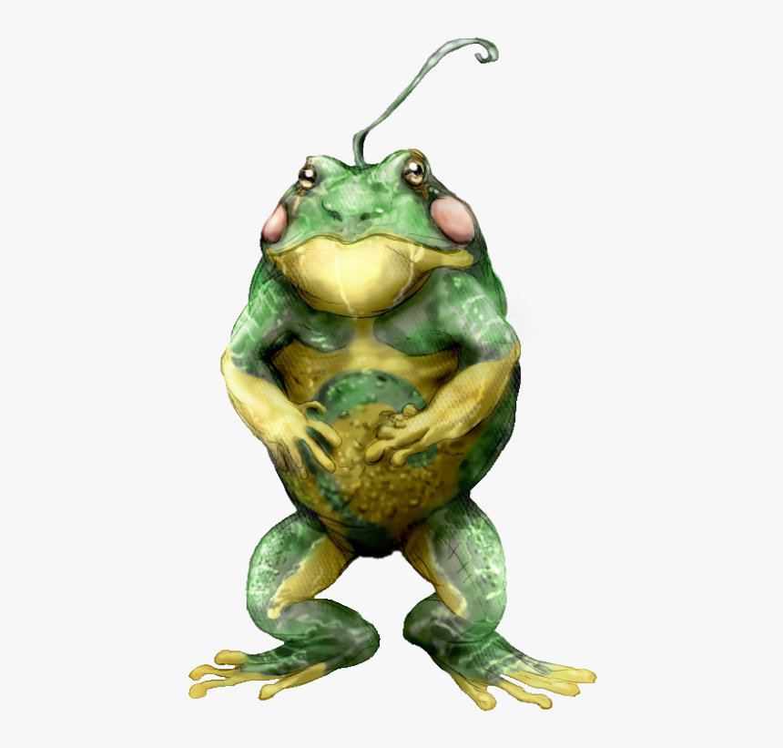 Politoed Skulker - Bufo, HD Png Download